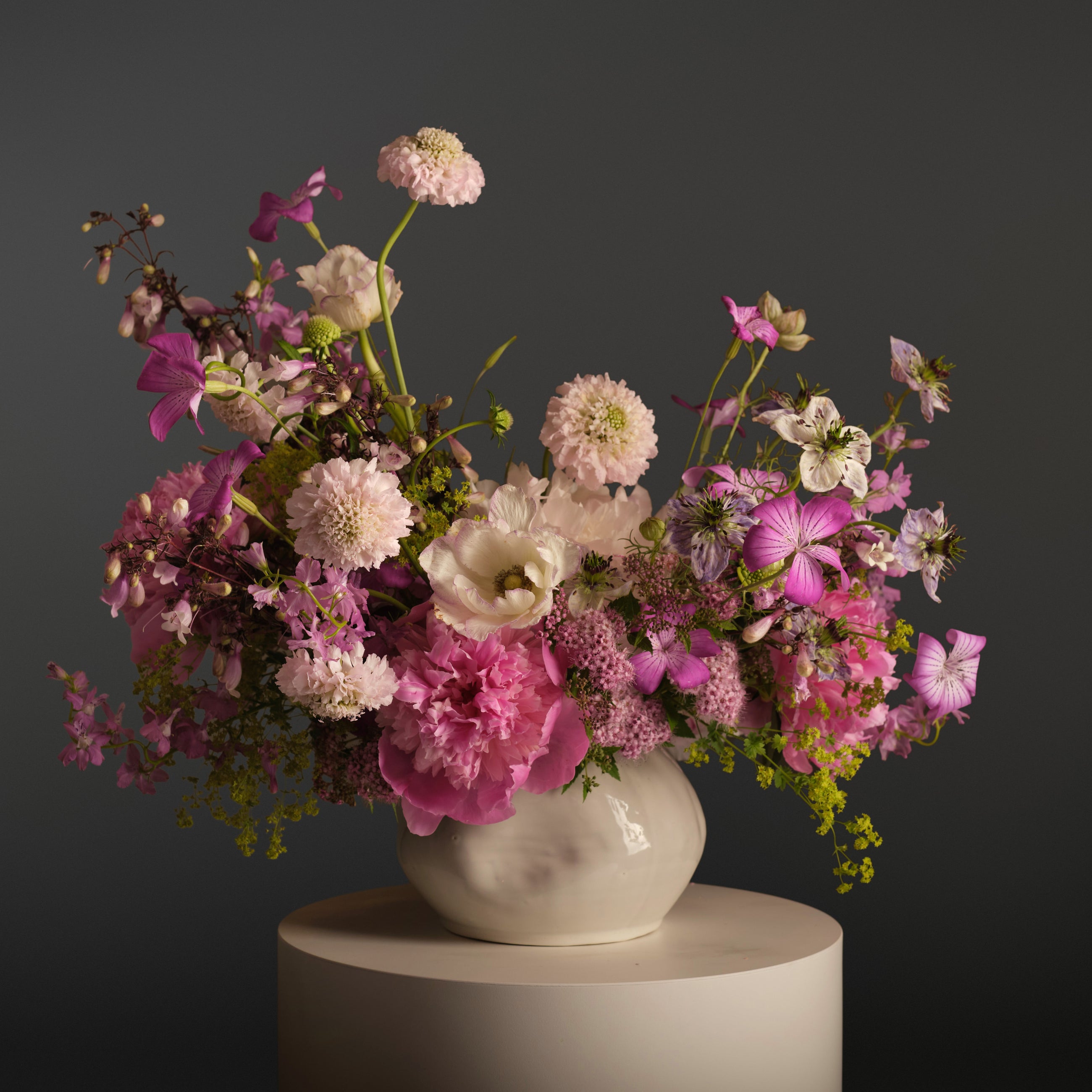 Still Life Arrangement